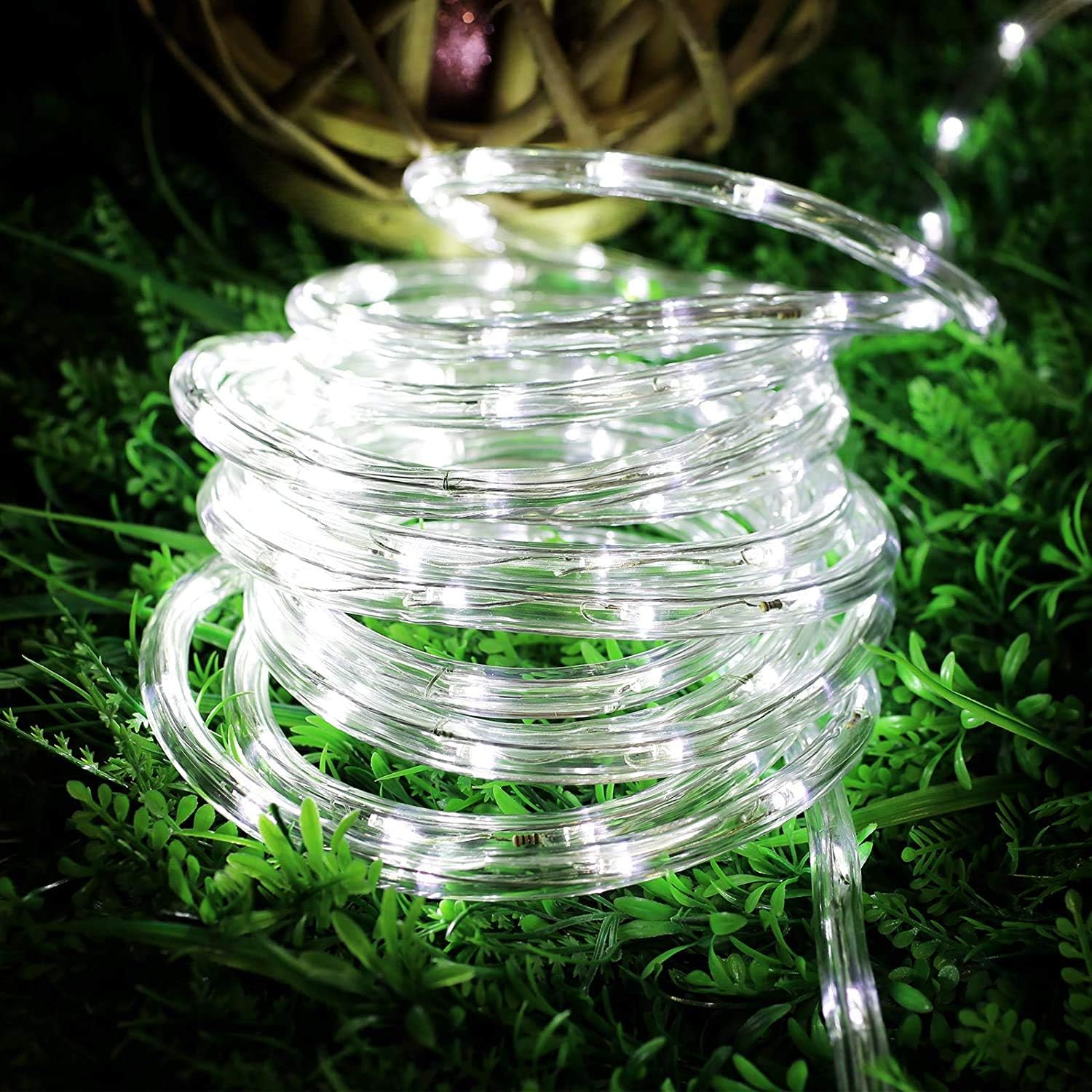 Lepro Outdoor Rope Lights Mains Powered, Connectable, 10m/33ft 240 LED Outdoor Lights Plug in, Bright Cool White, Low Voltage, Waterproof Thick Rope Lights for Garden, Tree, Pathway and More - Image 2