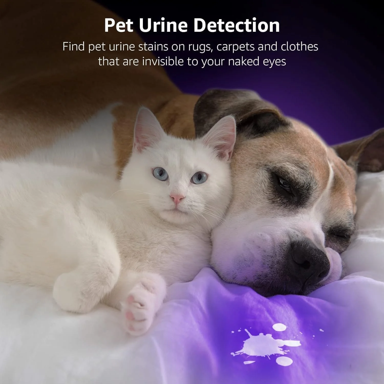 Lighting EVER Lepro LE UV Torch, 9 LED 395nm Ultraviolet Flashlight, Blacklight Detector for Pet Urine, Stain, Bed Bugs and More, 6 AAA Batteries Included - Image 2